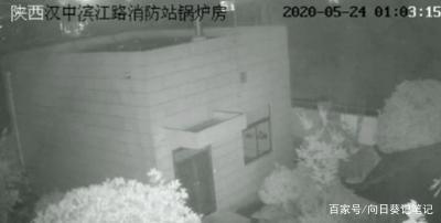 流浪狗妈妈带着宝宝去消防队，离开时忍痛“离开”三只小奶狗！