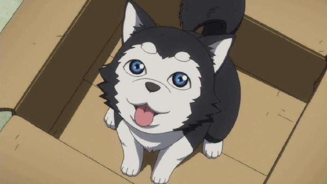 你最想养哪一只？日本动漫中萌化人心的十大“宠物”盘点