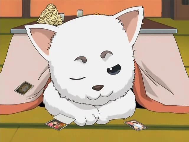 你最想养哪一只？日本动漫中萌化人心的十大“宠物”盘点