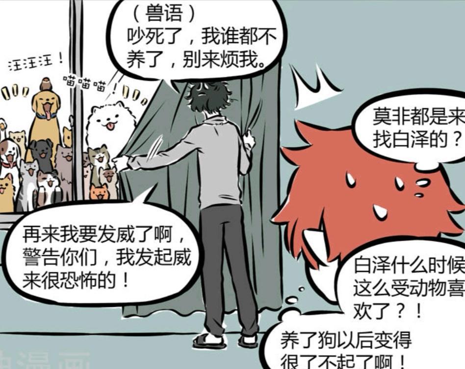 非人哉漫画：白泽养狗出名，猫猫狗狗前来求收养