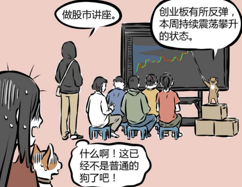 非人哉漫画：白泽养狗出名，猫猫狗狗前来求收养