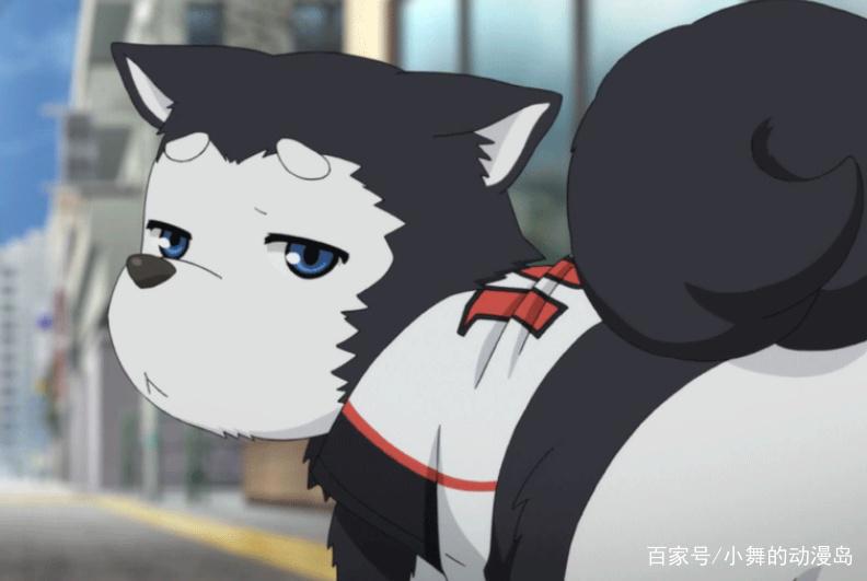 盘点动漫中看了就想养的动物，每个都可爱到爆，二哈版夜煞上榜！
