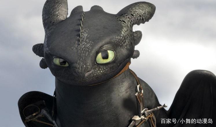 盘点动漫中看了就想养的动物，每个都可爱到爆，二哈版夜煞上榜！