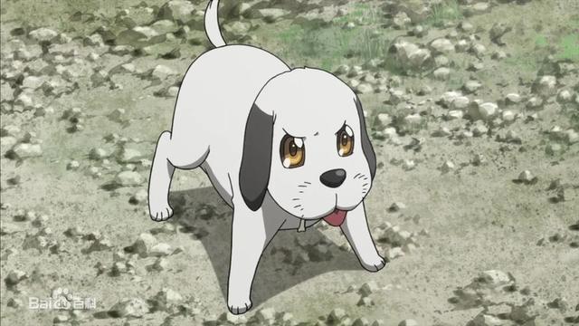 萌犬伴身旁动漫作品十大萌犬盘点