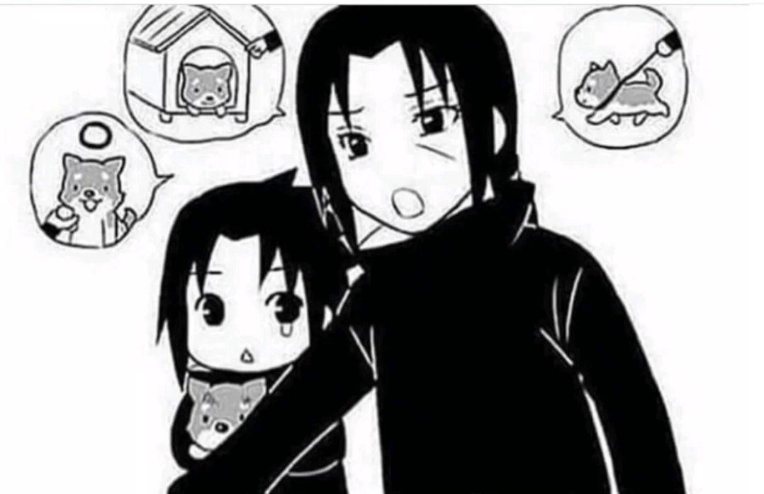 火影小漫画：佐助和鼬收养了一只流浪狗，还和它一起睡觉，超暖心