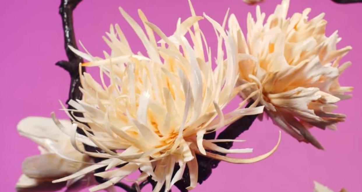 鱼骨手工火了！DIY大佬用十万块鱼骨做出“手办”，一朵花用16条鱼