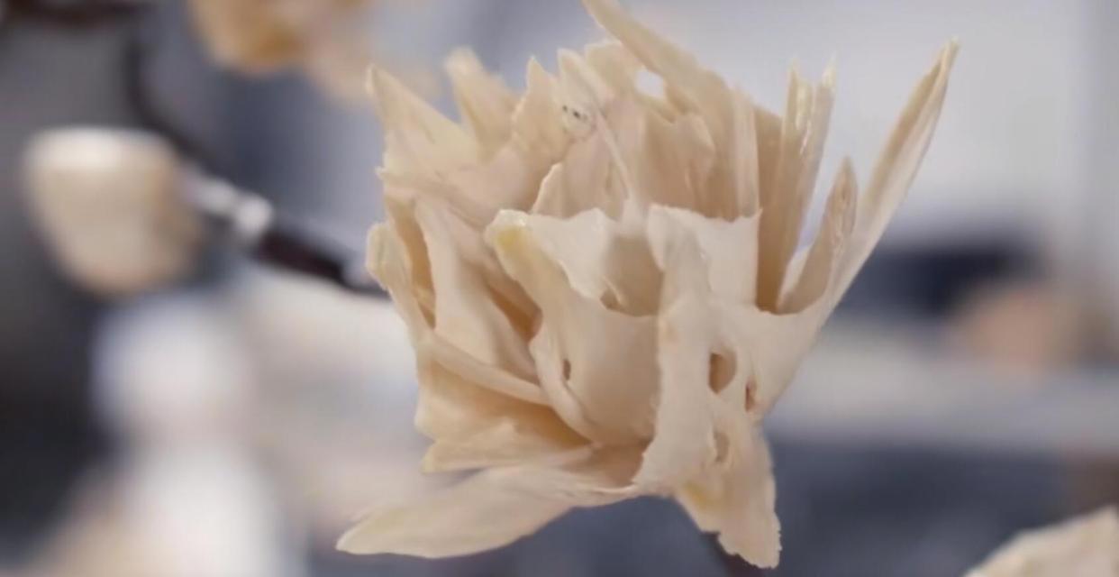 鱼骨手工火了！DIY大佬用十万块鱼骨做出“手办”，一朵花用16条鱼