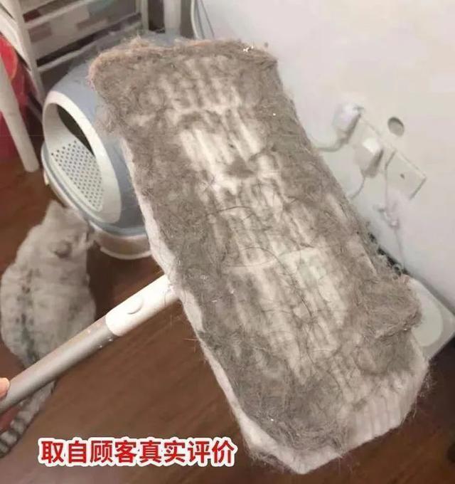 伦敦一家人的复古老别墅，家具和色彩碰撞出优雅魅力，过分养眼了