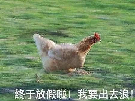 国庆小长假支招，1块钱如何嗨玩8日