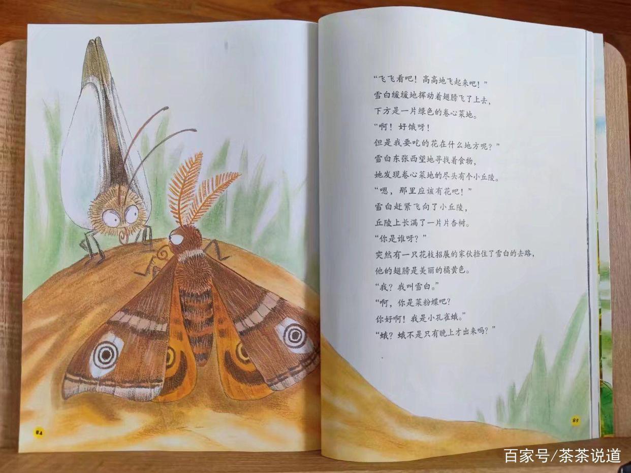 暑假作业出现昆虫类题目，孩子看都不要看就拒绝？这样处理就对了