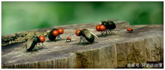 这部动画里所有角色90分钟都没说一句话，我却被它给迷住了