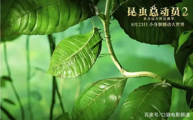 花2亿拍虫子，值！