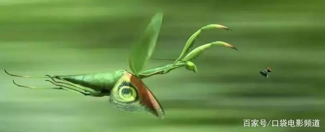 花2亿拍虫子，值！