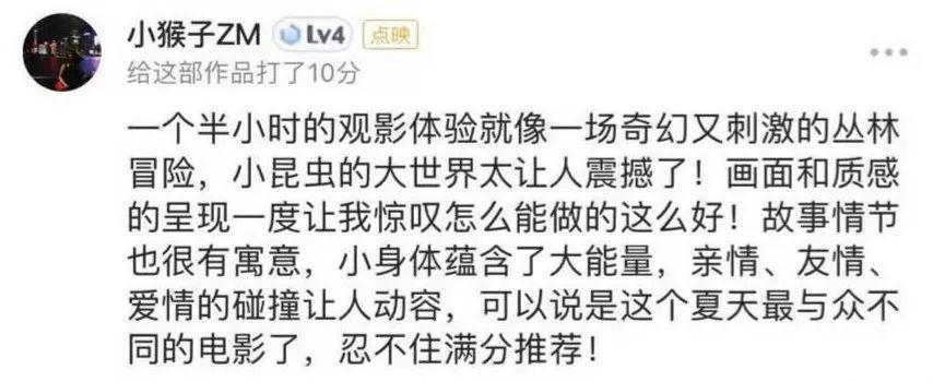 昆虫的夏天！如此奇妙的微观世界大狂欢