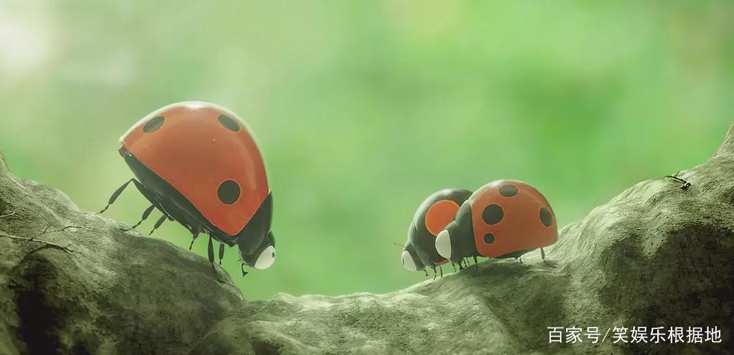 自成一派的电影《昆虫总动员2》，小清新到让人不敢承认！