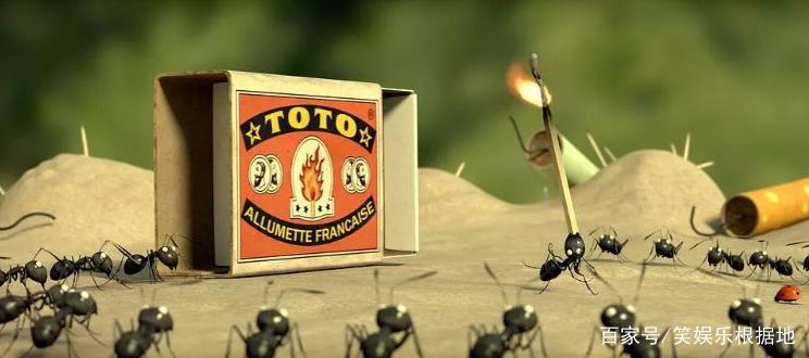 自成一派的电影《昆虫总动员2》，小清新到让人不敢承认！