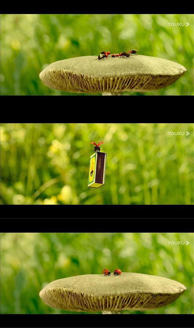 《昆虫总动员》：每个人的逆境成长，都会被塑造出极致成熟的自身