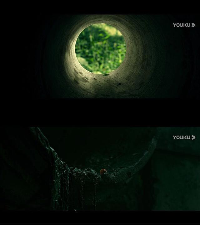 《昆虫总动员》：每个人的逆境成长，都会被塑造出极致成熟的自身