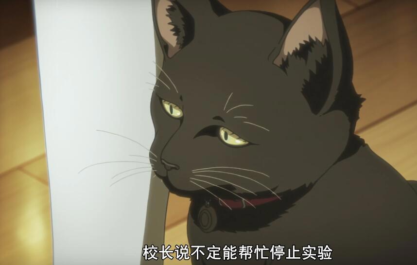 全员恶玉第7话分析：内鬼浮出水面，双胞胎的秘密被公开！