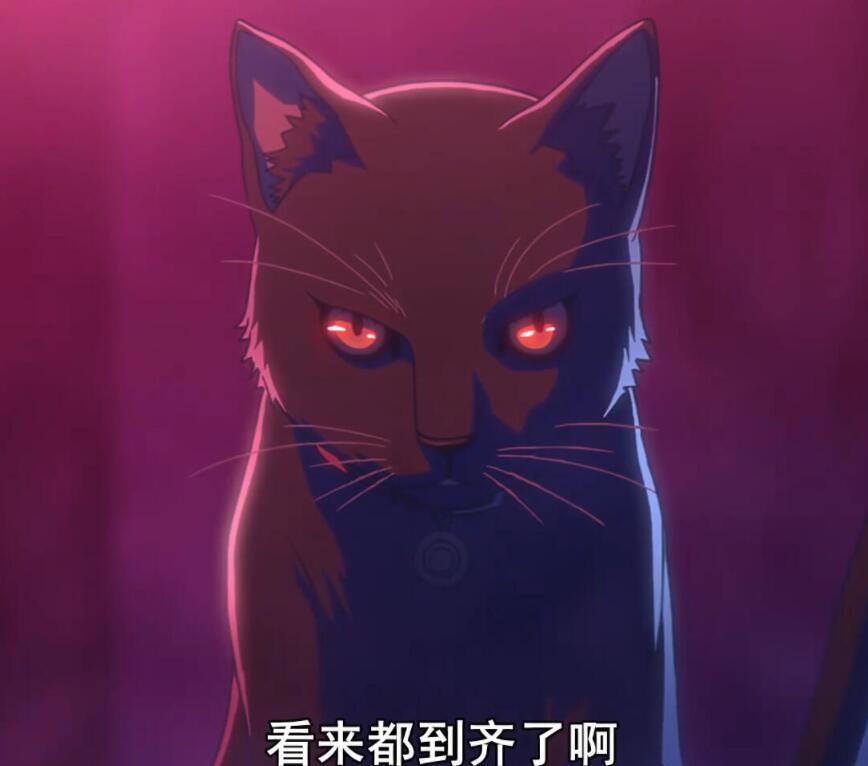 全员恶玉：这部新番不简单，主角团全是恶人，大逃杀游戏即将开始