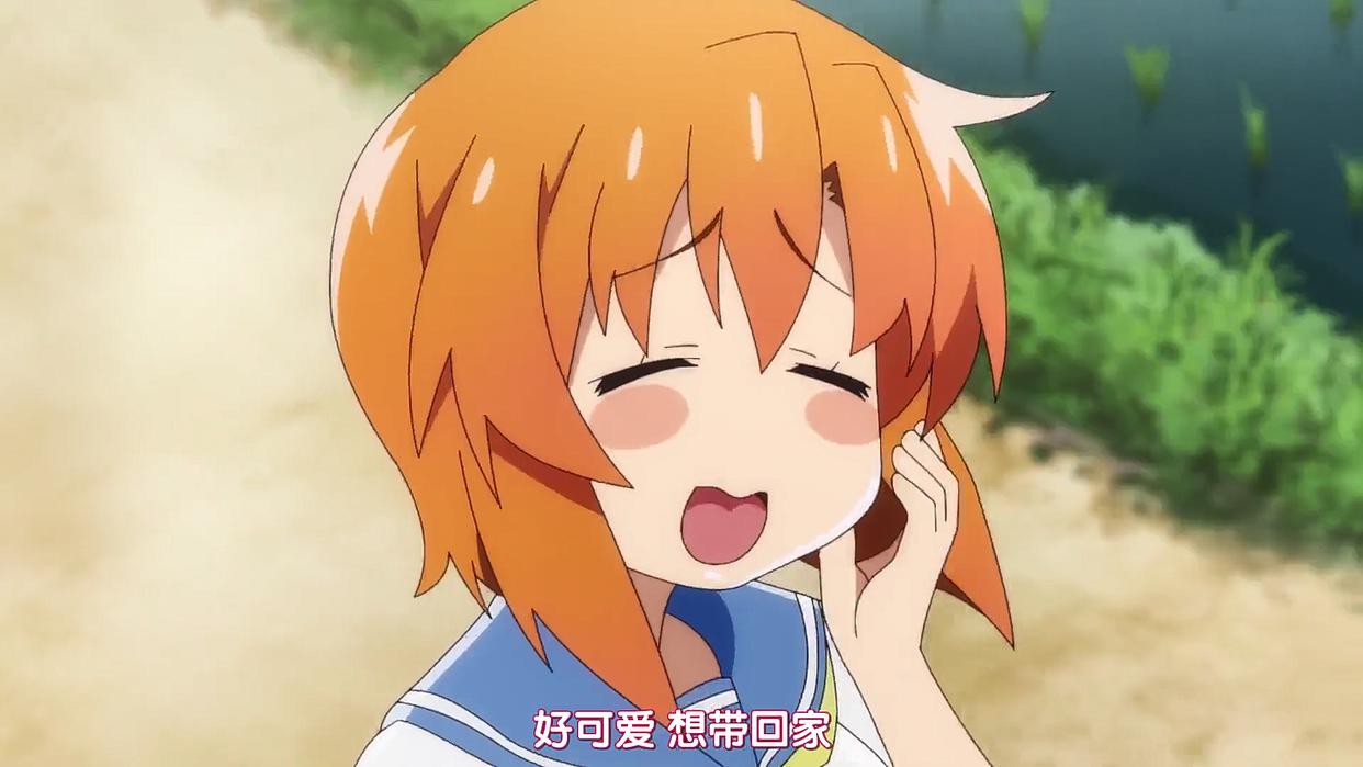 这些一月新番没几个平台敢买，题材太诡异，只能网盘见