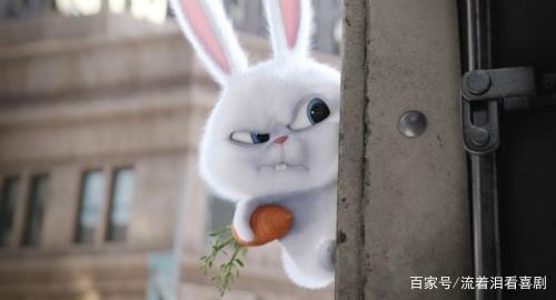 盘点电影里那些贱萌贱萌的动物形象