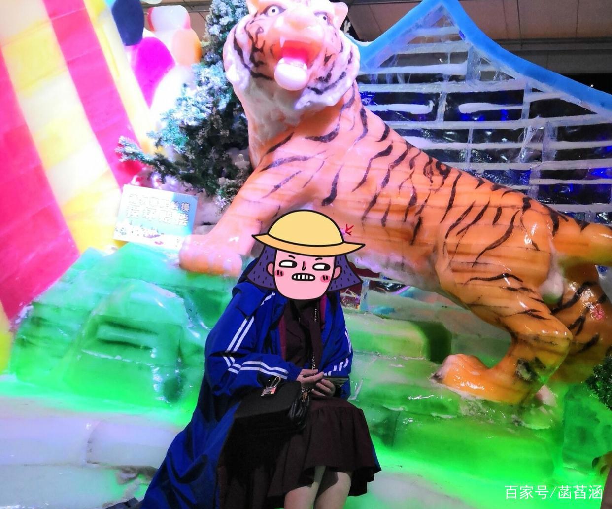 南京红山动物园，别样的“寒冷”，冰天雪地，冰雕展