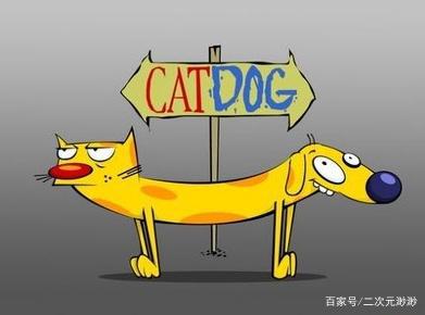 这几部在童年少儿频道播出的最火国外动画，你还记得几部？