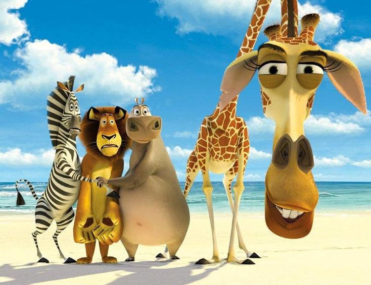 马达加斯加：从鲁莽的狮子身上，我们能看到勇往直前的品格