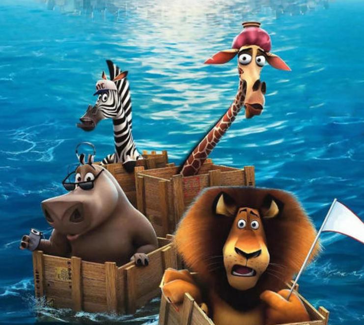 马达加斯加：从鲁莽的狮子身上，我们能看到勇往直前的品格