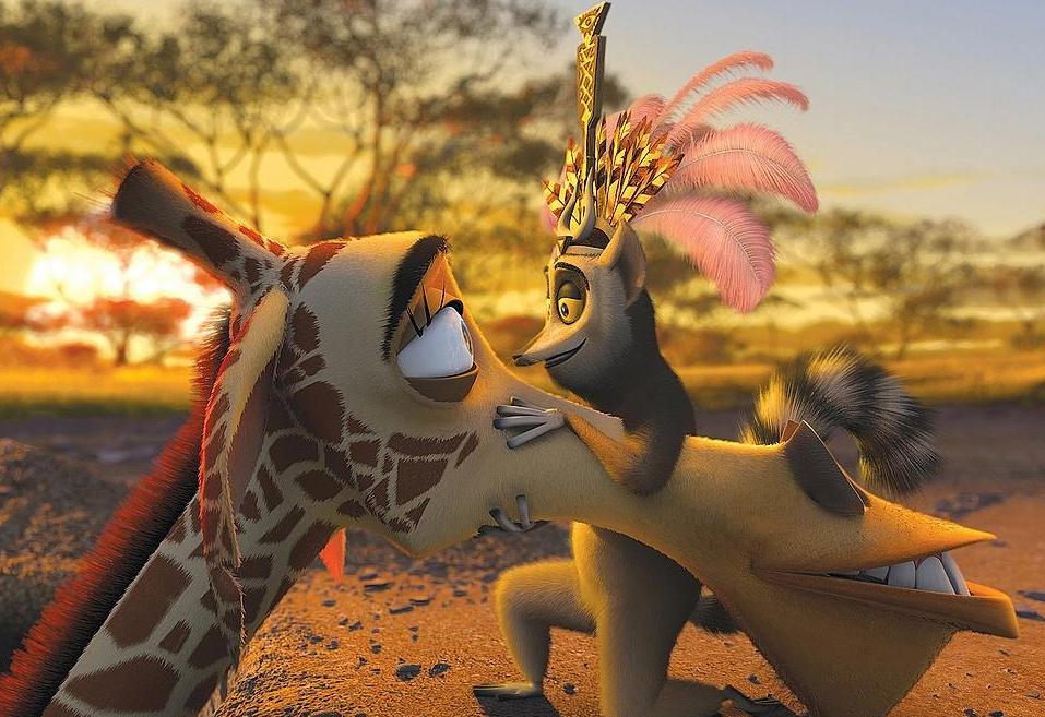 马达加斯加：从鲁莽的狮子身上，我们能看到勇往直前的品格