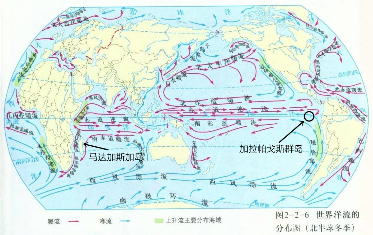 为何马达加斯加没有企鹅而赤道上却有？因为寒流和暖流的不同作用