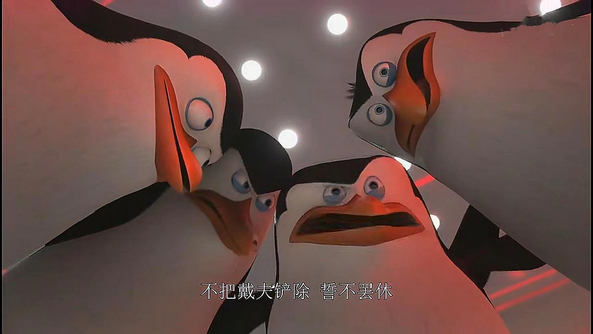 《马达加斯加的企鹅》：菜鸟逆袭记，成功并非外表，而是做了什么