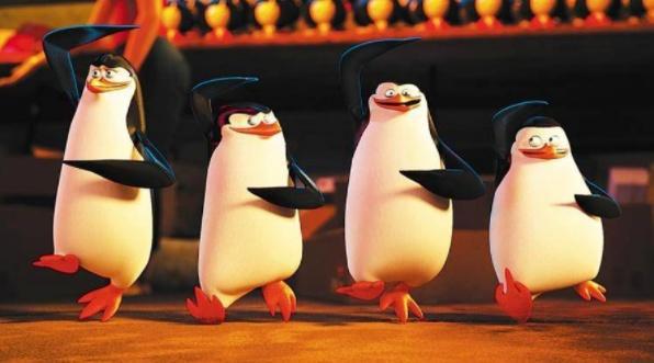 马达加斯加的企鹅，一群小可爱，充满童心的回忆！