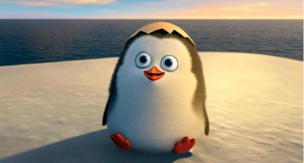 马达加斯加的企鹅，一群小可爱，充满童心的回忆！