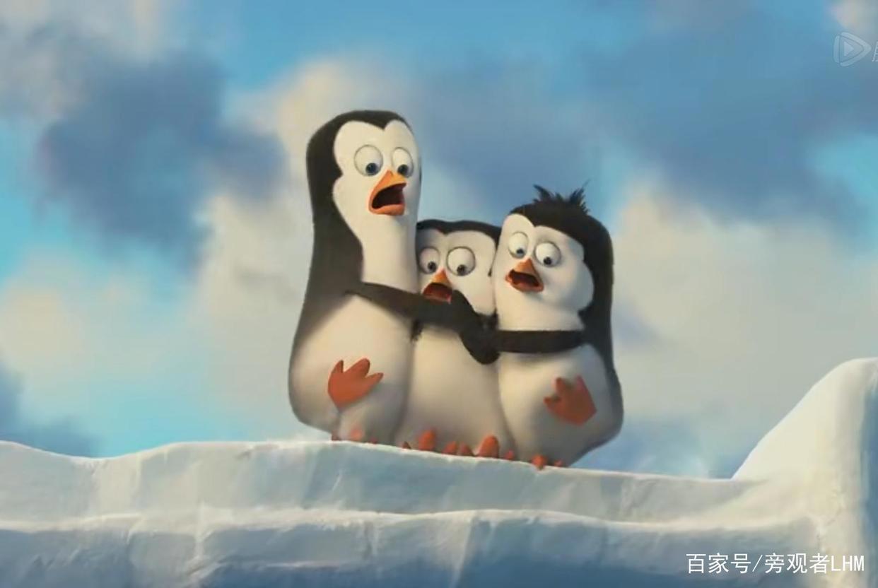 马达加斯加的企鹅——四个铁憨憨的冒险之旅