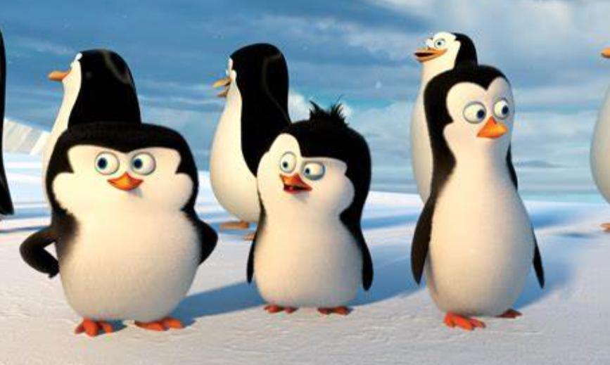 《马达加斯加的企鹅》信任和支持，才是团队协作的基石