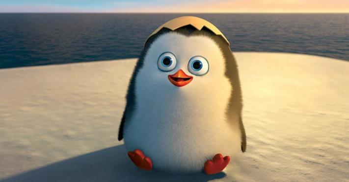 《马达加斯加的企鹅》信任和支持，才是团队协作的基石