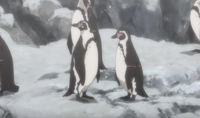 说到企鹅你会想到什么？日媒投票动画中最受欢迎的企鹅角色排行