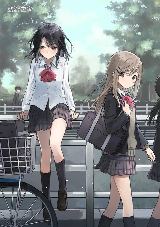 两高中妹子的日常！轻小说《安达与岛村》动画化决定