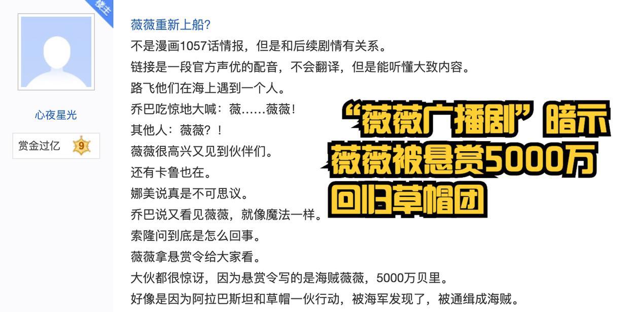 海贼王：王炸！“薇薇广播剧”暗示薇薇是第十人，悬赏金5000万