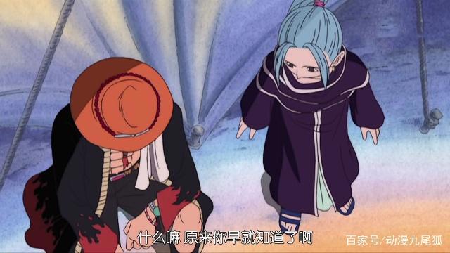 海贼王：薇薇喜欢的人是寇沙？其实喜欢艾斯的可能要更大一些