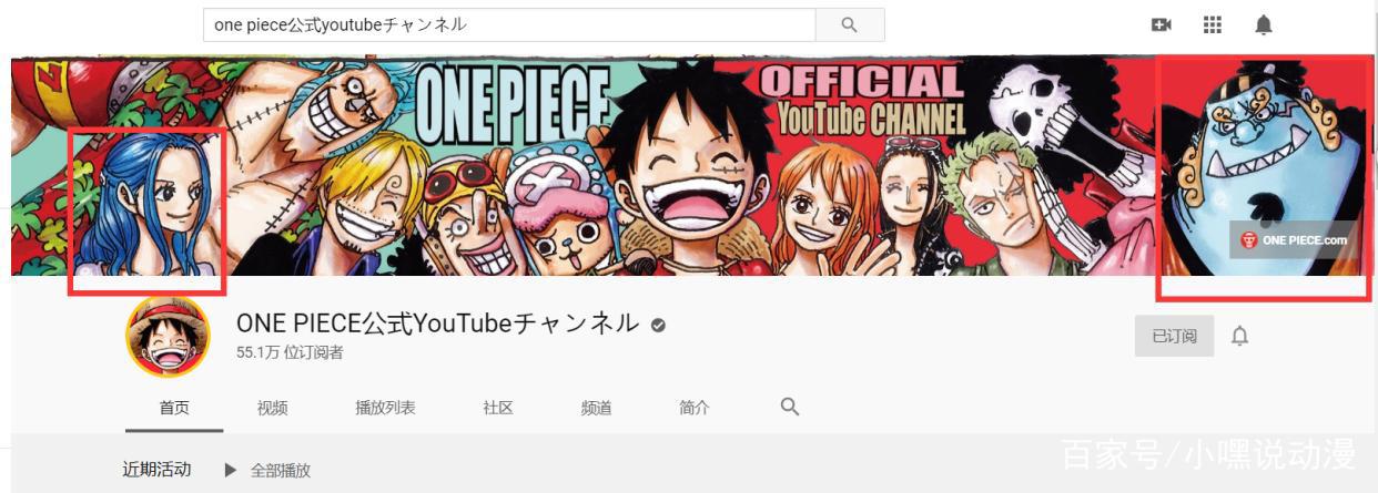 《海贼王》间接官宣，草帽海贼团全员到齐，第十一人是薇薇