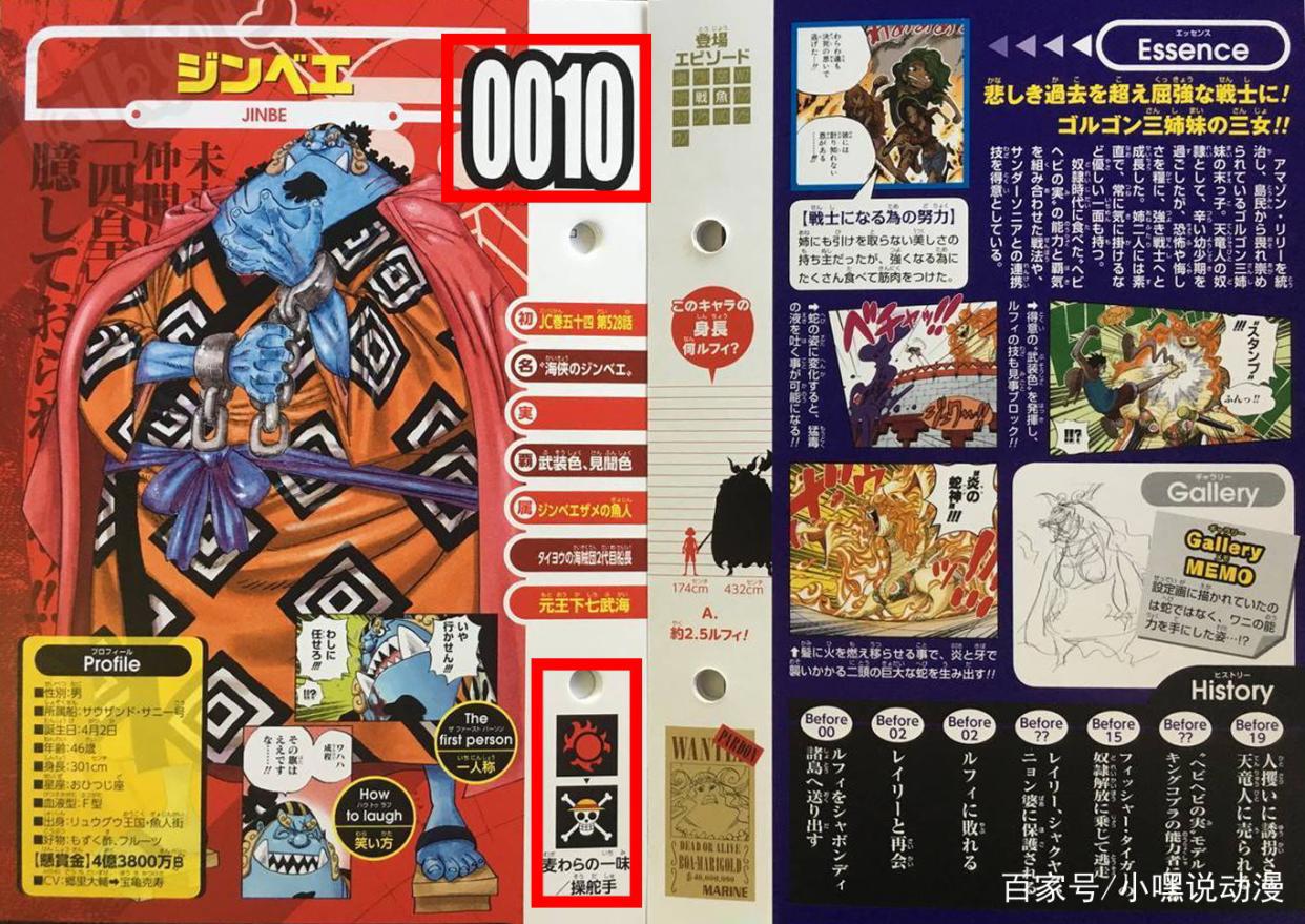 《海贼王》间接官宣，草帽海贼团全员到齐，第十一人是薇薇