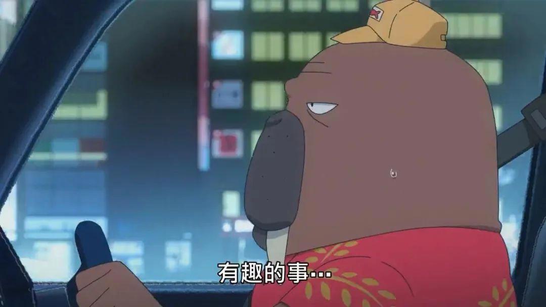 9.5分，这部成人动画该爆了