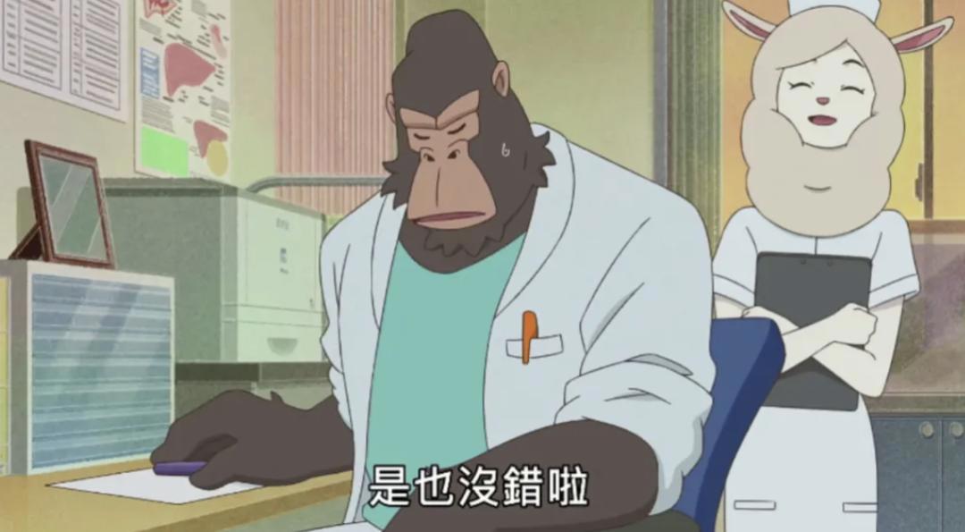 9.5分，这部成人动画该爆了