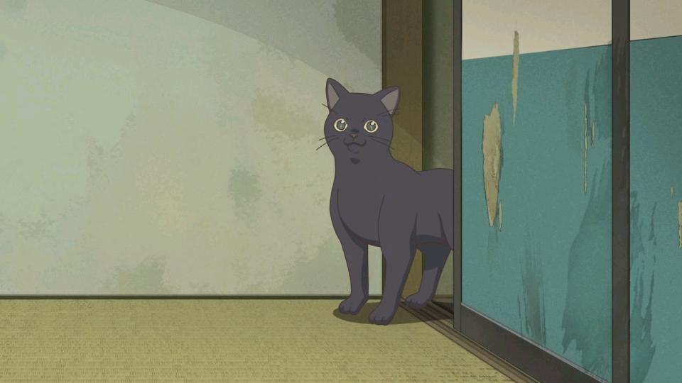 奇巧计程车：剧本收官，恭喜完结，白川小姐yyds