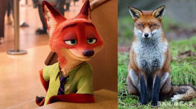 疯狂动物城角色穿越到现实生活后，朱迪萌化人心，牛局长超搞笑