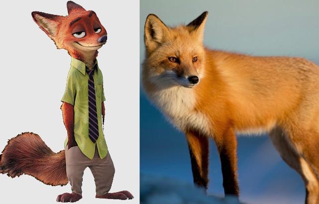 当《疯狂动物城》来到了真实的世界，朱迪萌化人心，闪电傻得可爱