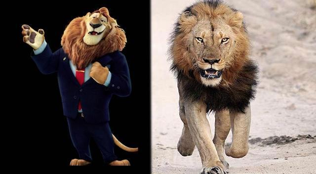 当《疯狂动物城》来到了真实的世界，朱迪萌化人心，闪电傻得可爱